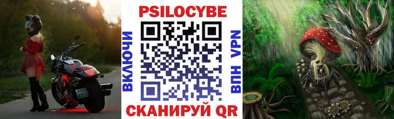 купить наркотик  Бакал  Псилоцибиновые грибы MAGIC MUSHROOMS 